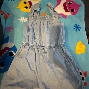 Cat and Jack toddler girl set